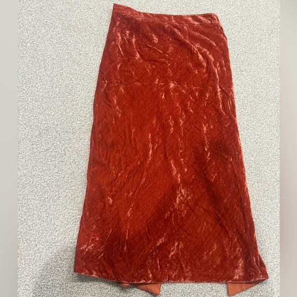 Velvet Anthropologie Maxi Skirt - Picture 5 of 6